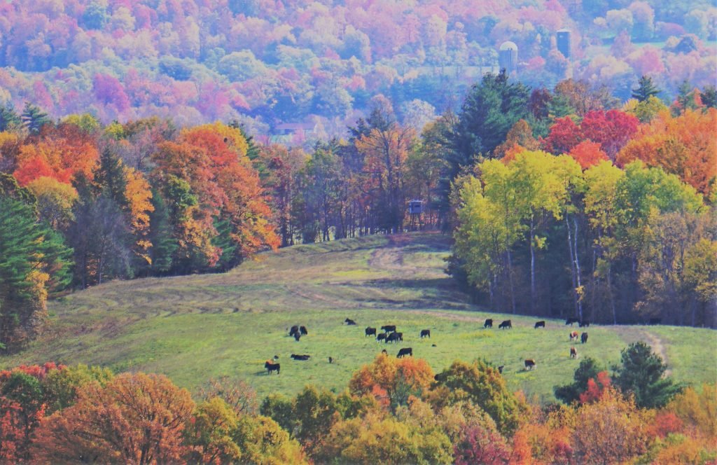 Lake Winnipesaukee Scenic Foliage Drive - Lake Winnipesaukee Info ...